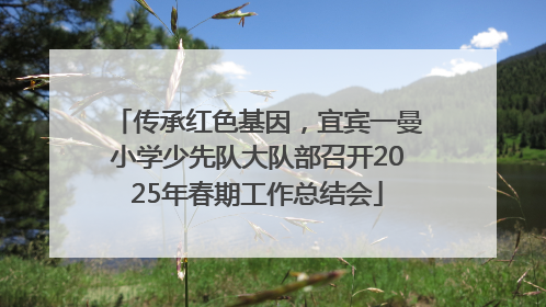 传承红色基因，宜宾一曼小学少先队大队部召开2025年春期工作总结会