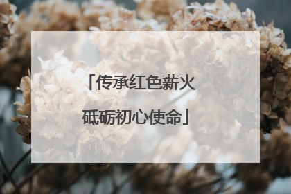 传承红色薪火 砥砺初心使命