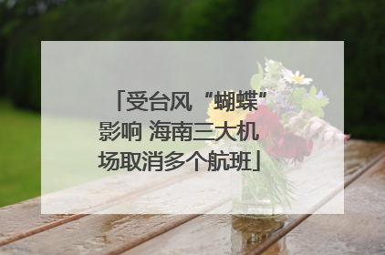 受台风“蝴蝶”影响 海南三大机场取消多个航班