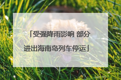 受强降雨影响 部分进出海南岛列车停运