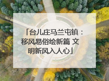 台儿庄马兰屯镇：移风易俗绘新篇 文明新风入人心