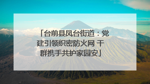 台前县凤台街道：党建引领织密防火网 干群携手共护家园安