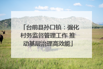 台前县孙口镇：强化村务监督管理工作 推动基层治理高效能