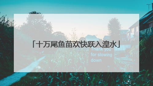 十万尾鱼苗欢快跃入湟水