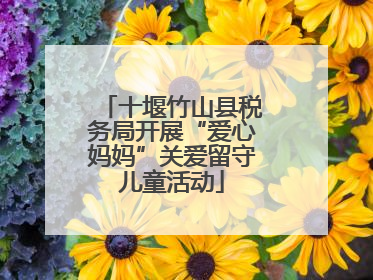十堰竹山县税务局开展“爱心妈妈”关爱留守儿童活动