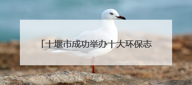 十堰市成功举办十大环保志愿服务品牌展示交流活动