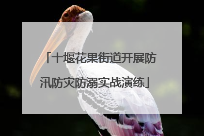 十堰花果街道开展防汛防灾防溺实战演练