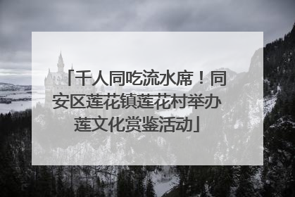 千人同吃流水席！同安区莲花镇莲花村举办莲文化赏鉴活动