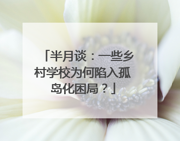 半月谈：一些乡村学校为何陷入孤岛化困局？