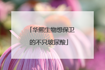 华熙生物想保卫的不只玻尿酸