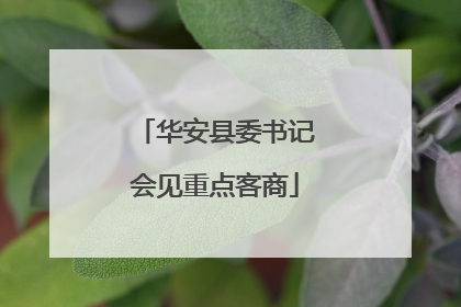 华安县委书记会见重点客商