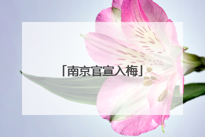 南京官宣入梅