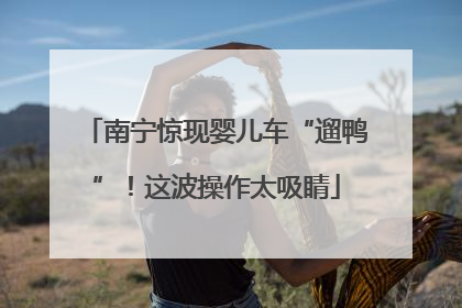 南宁惊现婴儿车“遛鸭”！这波操作太吸睛