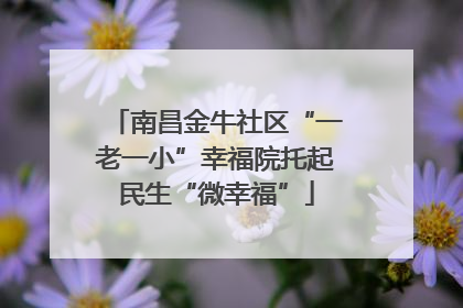 南昌金牛社区“一老一小”幸福院托起民生“微幸福”