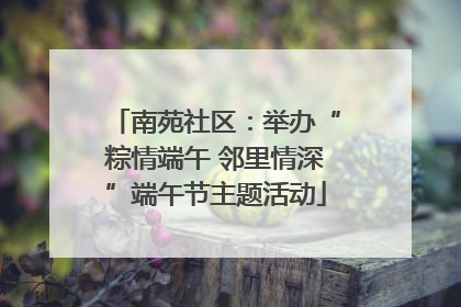 南苑社区：举办“粽情端午 邻里情深”端午节主题活动