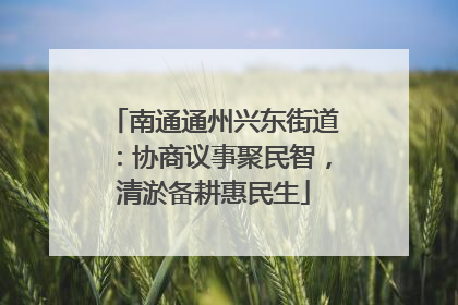 南通通州兴东街道：协商议事聚民智，清淤备耕惠民生