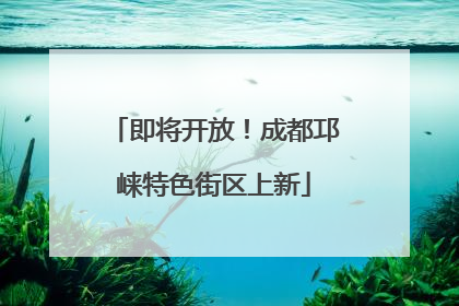 即将开放！成都邛崃特色街区上新
