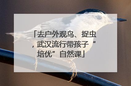去户外观鸟、捉虫，武汉流行带孩子“培优”自然课