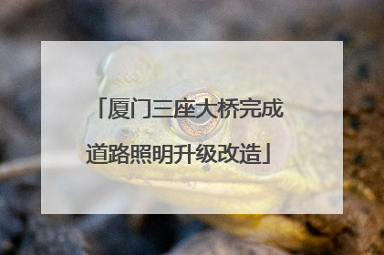 厦门三座大桥完成道路照明升级改造