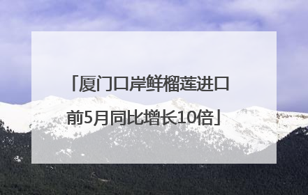 厦门口岸鲜榴莲进口 前5月同比增长10倍