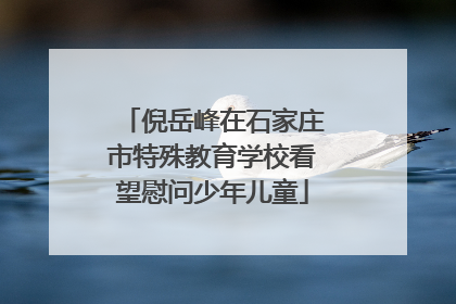 倪岳峰在石家庄市特殊教育学校看望慰问少年儿童