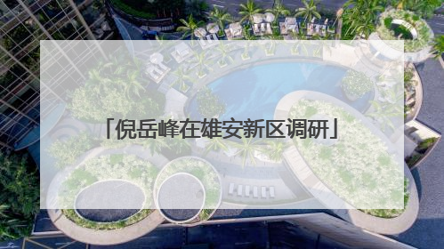 倪岳峰在雄安新区调研