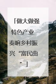 做大做强特色产业 奏响乡村振兴“富民曲”