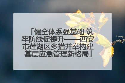 健全体系强基础 筑牢防线促提升——西安市莲湖区多措并举构建基层应急管理新格局