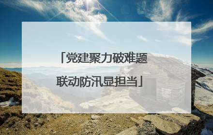 党建聚力破难题 联动防汛显担当