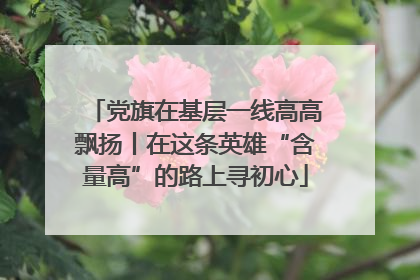 党旗在基层一线高高飘扬丨在这条英雄“含量高”的路上寻初心