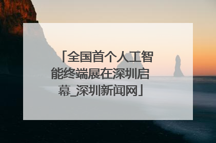 全国首个人工智能终端展在深圳启幕_深圳新闻网