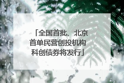 全国首批、北京首单民营创投机构科创债券将发行