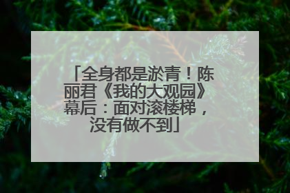 全身都是淤青！陈丽君《我的大观园》幕后：面对滚楼梯，没有做不到