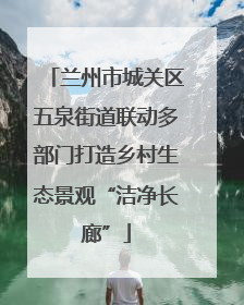 兰州市城关区五泉街道联动多部门打造乡村生态景观“洁净长廊”