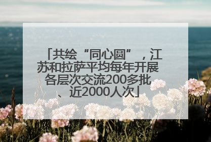 共绘“同心圆”，江苏和拉萨平均每年开展各层次交流200多批、近2000人次