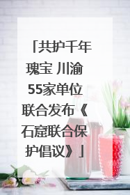 共护千年瑰宝 川渝55家单位联合发布《石窟联合保护倡议》