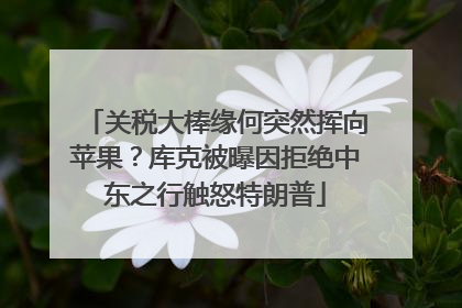 关税大棒缘何突然挥向苹果？库克被曝因拒绝中东之行触怒特朗普