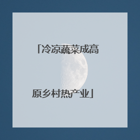 冷凉蔬菜成高原乡村热产业