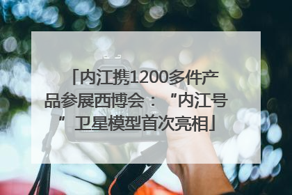 内江携1200多件产品参展西博会：“内江号”卫星模型首次亮相