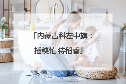 内蒙古科左中旗：插秧忙 待稻香