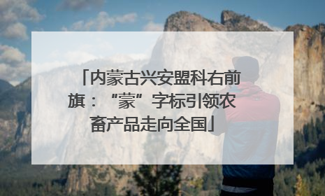 内蒙古兴安盟科右前旗：“蒙”字标引领农畜产品走向全国