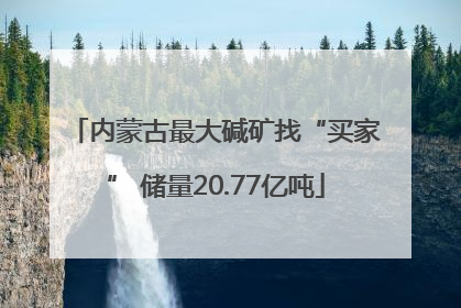内蒙古最大碱矿找“买家” 储量20.77亿吨