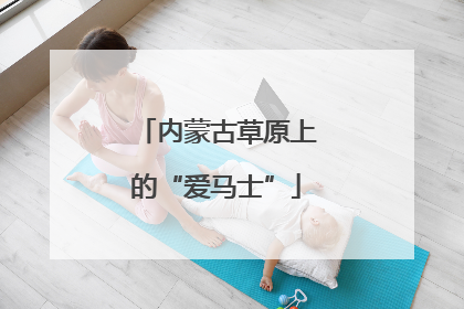 内蒙古草原上的“爱马士”