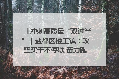 冲刺高质量“双过半”｜盐都区楼王镇：攻坚实干不停歇 奋力跑赢“上半场”