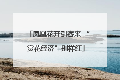 凤凰花开引客来 “赏花经济”别样红