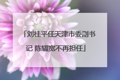 刘桂平任天津市委副书记 陈辐宽不再担任