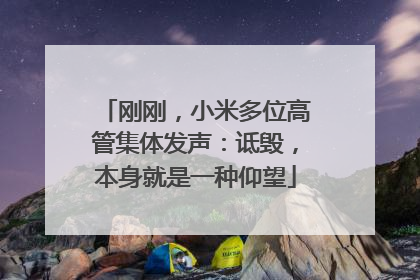 刚刚，小米多位高管集体发声：诋毁，本身就是一种仰望