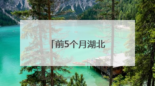 前5个月湖北省进出口同比增长26.9%