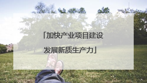 加快产业项目建设 发展新质生产力