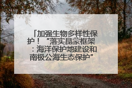 加强生物多样性保护！“落实昆蒙框架：海洋保护地建设和南极公海生态保护”主题论坛将举办